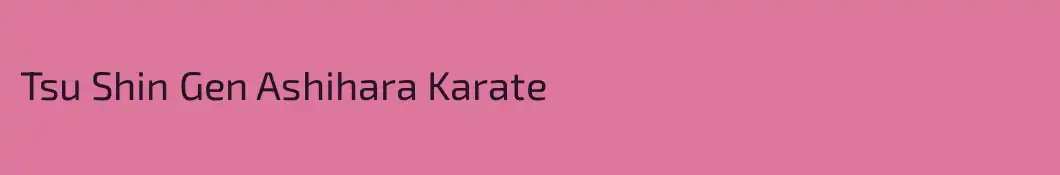 Tsu Shin Gen Ashihara Karate